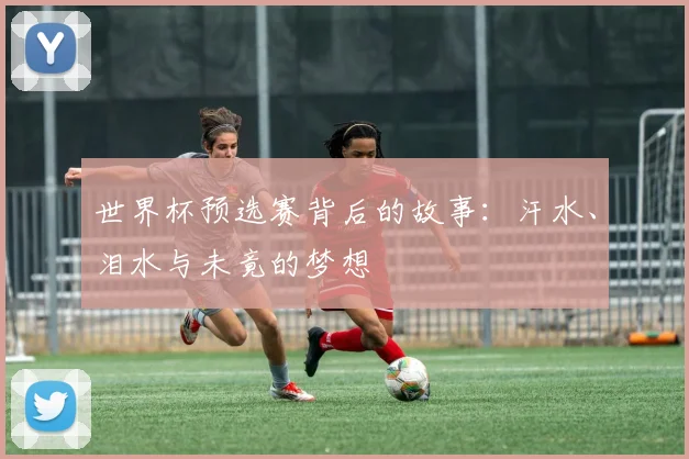 世界杯预选赛背后的故事：汗水、泪水与未竟的梦想