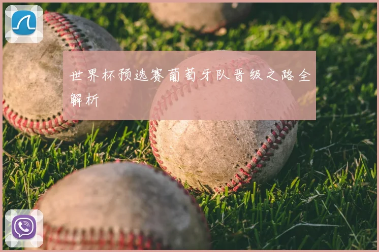 世界杯预选赛葡萄牙队晋级之路全解析