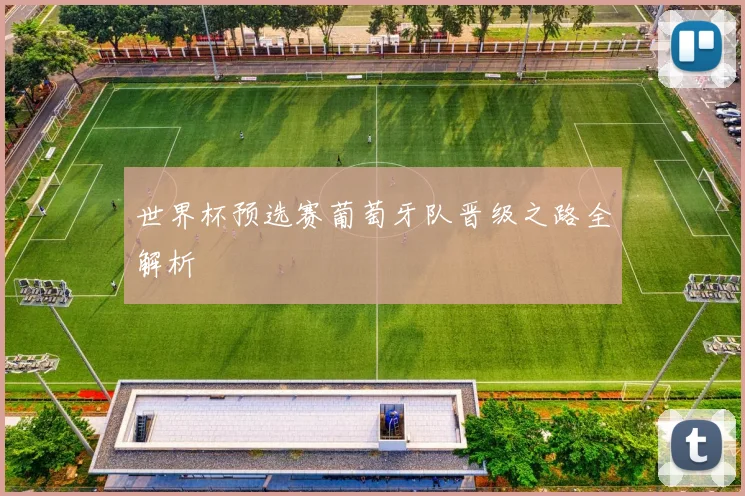 世界杯预选赛葡萄牙队晋级之路全解析
