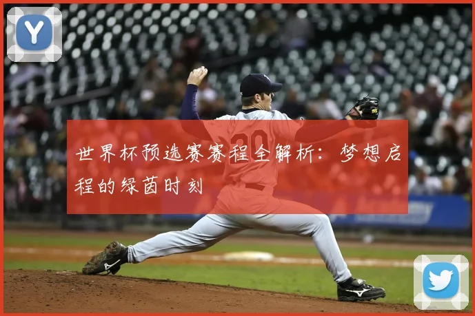 世界杯预选赛赛程全解析：梦想启程的绿茵时刻