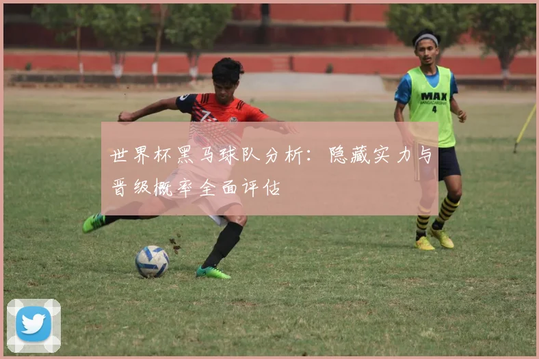 世界杯黑马球队分析:隐藏实力与晋级概率全面评估
